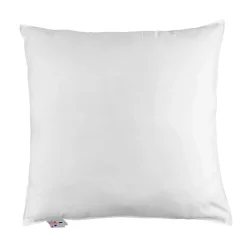 Oreiller en microfibre 80 x 80 cm - lot de 2 ->Homescapes Hot