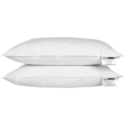 Oreiller en plumes de canard 50 x 75 cm, lot de 2 ->Homescapes New