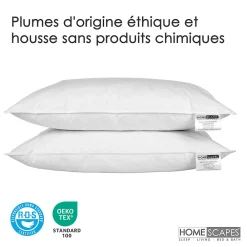 Oreiller en plumes de canard 50 x 75 cm, lot de 2 -><noscript><img width=
