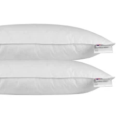 Homescapes Oreiller en plumes et duvet d'oie 40 x 80 cm - lot de 2 -* Oreiller Moelleux