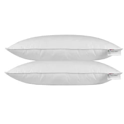 Homescapes Oreiller en plumes et duvet d'oie 40 x 80 cm - lot de 2 -* Oreiller Moelleux
