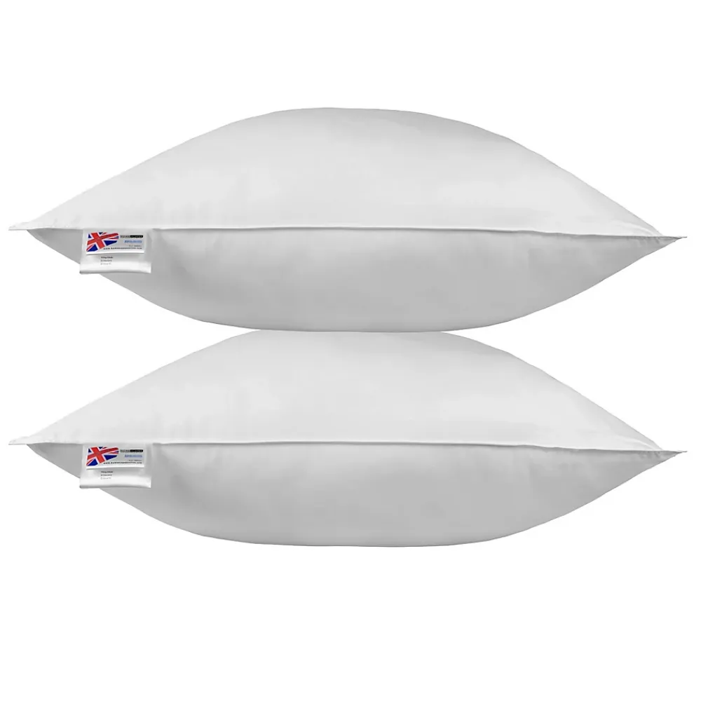 Homescapes Oreiller en plumes et duvet d'oie 80 x 80 cm - lot de 2 -* Oreiller Moelleux