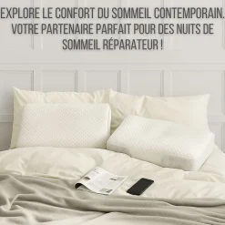 Inphysio Oreiller ergonomique anti-rides, anti-acouphène - extra grande - 65x42x10 - ERGO* Oreiller Mémoire De Forme