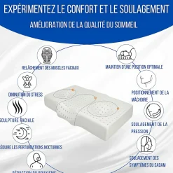 Inphysio Oreiller ergonomique anti-rides, anti-acouphène - extra grande - 65x42x10 - ERGO* Oreiller Mémoire De Forme