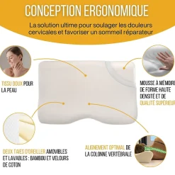 Oreiller ergonomique cervical de luxe deux taies d'oreiller (bambou,coton)><noscript><img width=