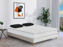Vente-unique Oreiller respirant à mémoire de forme charbon - Déhoussable - 40 x 60 cm - Noir - BALDIA* Oreiller Mémoire De Forme