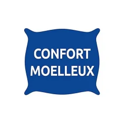 Bleu Calin Oreillers 60 x 60 cm Lot de 2 Anti acariens traité ESSENTIAL* Oreiller Moelleux