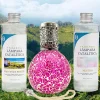 Pack économique Lampe Catalytique Mosaïque Fuchsia + Parfum Provence Breeze (500 ml) + Nettoyant Neutre (200 ml) + Mèche Rechange>Mamamanuela Hot
