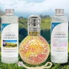 Pack économique Lampe Catalytique Mosaïque Bicolore + Parfum Provence Breeze (500 ml) + Nettoyant Neutre (200 ml) + Mèche Rechange>Mamamanuela Sale