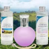 Pack économique Lampe Catalytique Fuchsia Mat + Parfum Provence Breeze (200 ml) + Nettoyant Neutre (200 ml) + Mèche de Rechange>Mamamanuela Hot
