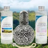 Pack économique Lampe Catalytique Mosaïque Noir + Parfum Provence Breeze (500 ml) + Nettoyant Neutre (200 ml) + Mèche de Rechange>Mamamanuela Online