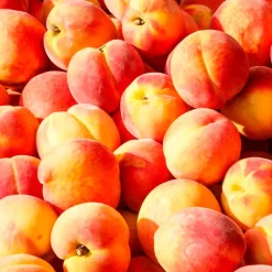 Mamamanuela Parfum Peach Velvet pour lampe catalytique (500 ml) - Élimine les mauvaises odeurs, parfume et nettoie l'environnement* Désodorisant Et Parfum D'Ambiance