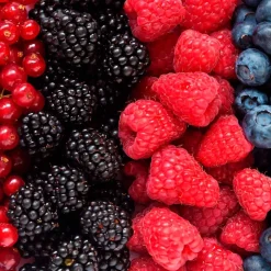 Mamamanuela Parfum Summer Fruits pour lampe catalytique (200 ml) - Élimine les mauvaises odeurs, parfume et nettoie l'environnement* Désodorisant Et Parfum D'Ambiance