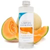 Parfum Waikiki Melon pour lampe catalytique (200 ml) - Élimine les mauvaises odeurs, parfume et nettoie l'environnement>Mamamanuela Online