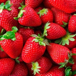 Parfum Wild Strawberry pour lampe catalytique (500 ml) - Élimine les mauvaises odeurs, parfume et nettoie l'environnement><noscript><img width=