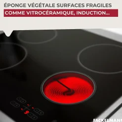 Éponge Végétale Multi-Surfaces fragiles Fackelmann Tecno* Eponge