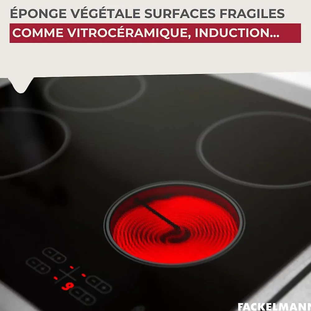 Éponge Végétale Multi-Surfaces fragiles Fackelmann Tecno* Eponge