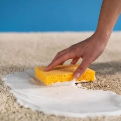 Éponge végétale Starwax l.3 x H.12 x P.18.2 cm vendue par 2><noscript><img width=