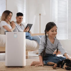 Déshumidificateur compresseur 12 ljour avec capteur d'humidité auto, séchage du linge>Pro Breeze Outlet