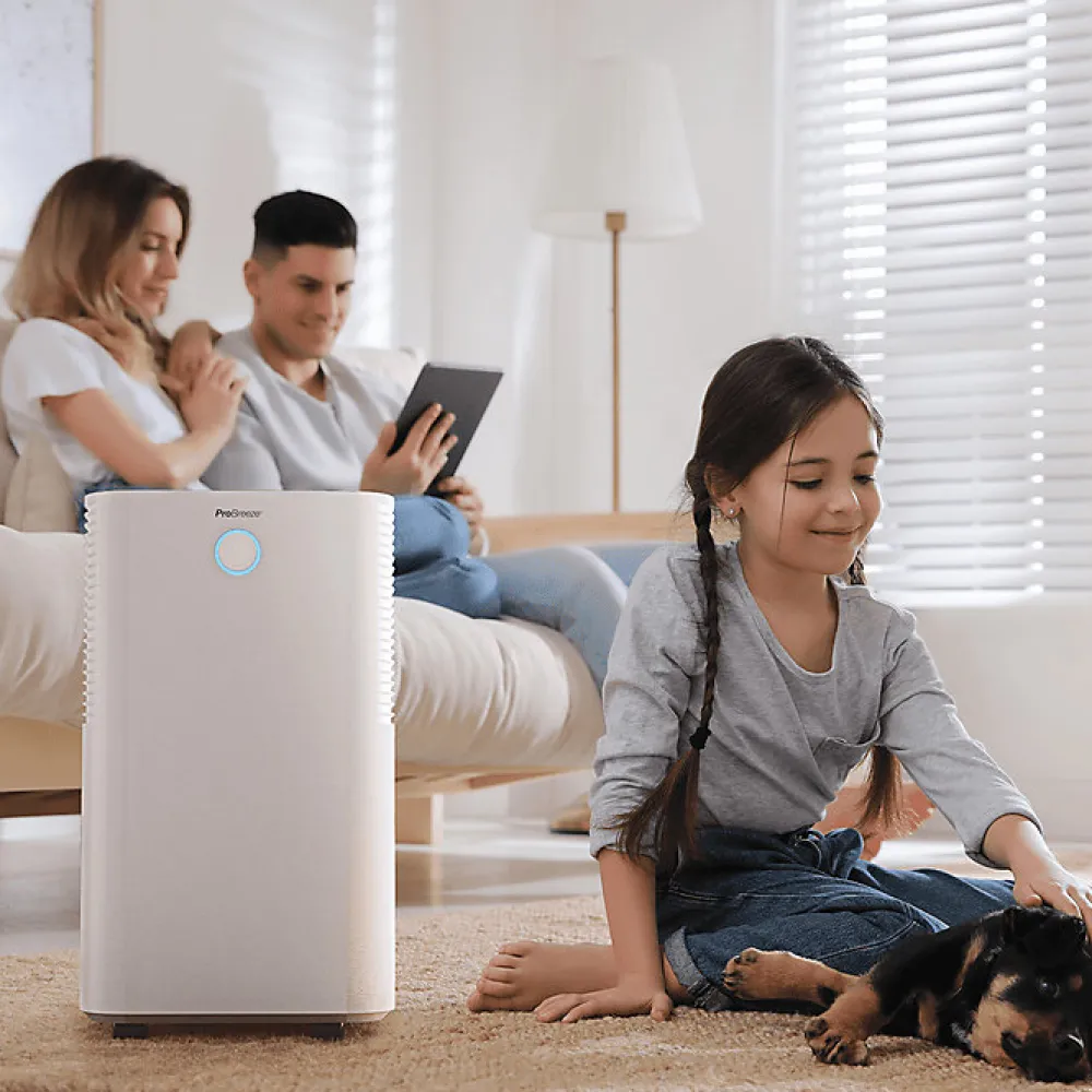 Déshumidificateur compresseur 12 ljour avec capteur d'humidité auto, séchage du linge>Pro Breeze Outlet