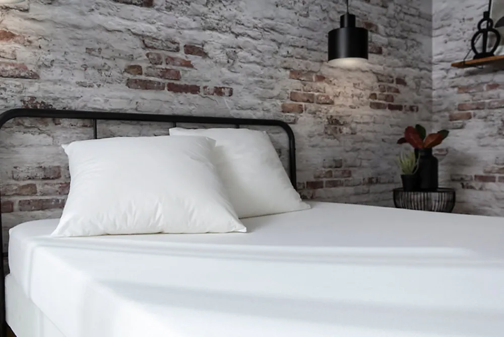 Protège-matelas Anti-bactériens Biome 160 x 200 cm>Abeil Hot