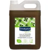 Savon noir à l'huile d'olive 5L>Starwax Clearance