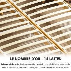 Sommier tapissé 160x200 cm(2x80x200), 12 pieds pour un maintien stable, hauteur 29 cm, housse amovible incluse><noscript><img width=