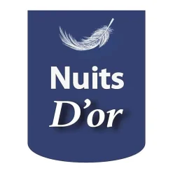 Nuits D'Or Sommier Tapissier Déhoussable 200x200 cm - 20 cm - 13 Lattes - Housse Lavable - Montage Rapide et Facile - Confort Optimal - SOMMI* Sommier