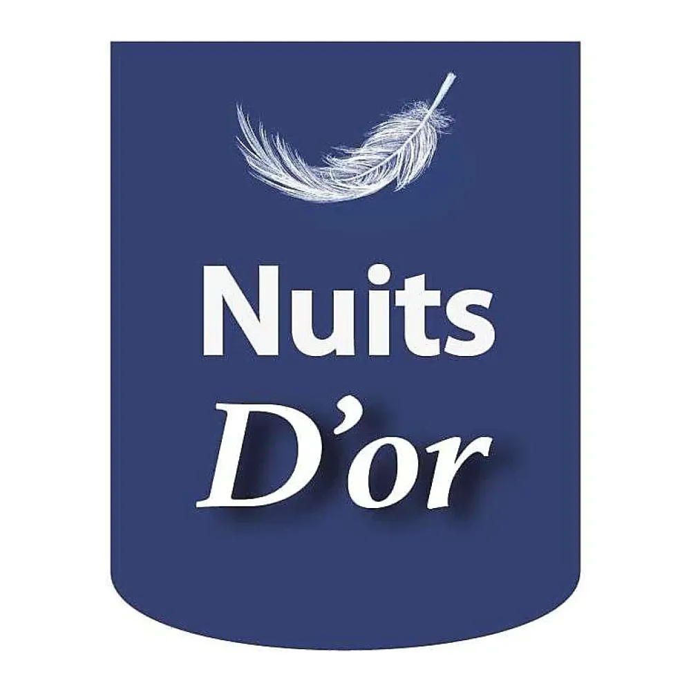 Nuits D'Or Sommier Tapissier Déhoussable 200x200 cm - 20 cm - 13 Lattes - Housse Lavable - Montage Rapide et Facile - Confort Optimal - SOMMI* Sommier