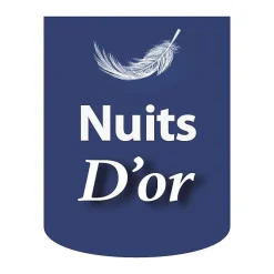 Nuits D'Or SOMMIER TAPISSIER 140x200 cm - 20 cm - 13 lattes - montage rapide et facile - revêtement facile d'entretien - GREGORY MARRON* Sommier