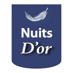 sommier tapissier 160x200 cm - 20 cm - 13 lattes - montage rapide et facile - revêtement facile d'entretien - SOMMIER GREGORY MARR><noscript><img width=