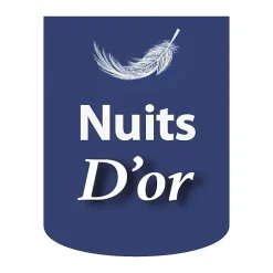 Nuits D'Or Sommier 90x190 - 20 cm - Déhoussable - 13 Lattes - Montage Rapide et Facile - Housse Lavable - Confort Optimal - Opale Gris* Sommier