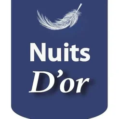 Nuits D'Or Sommier 160x200 cm - tapissier - déhoussable - housse lavable gris - pieds 20 cm - 2 x 13 lattes - soutien ferme - confort -* Sommier
