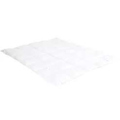 Bellecour Surmatelas 6 cm Tranquilité 180x200 cm Duvet et plumettes de canard neuf* Surmatelas