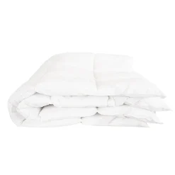 Surmatelas 6 cm Tranquilité 160x200 cm Duvet et plumettes de canard neuf><noscript><img width=