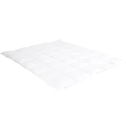 Surmatelas 6 cm Tranquilité 90x200 cm Duvet et plumettes de canard neuf>Bellecour Online