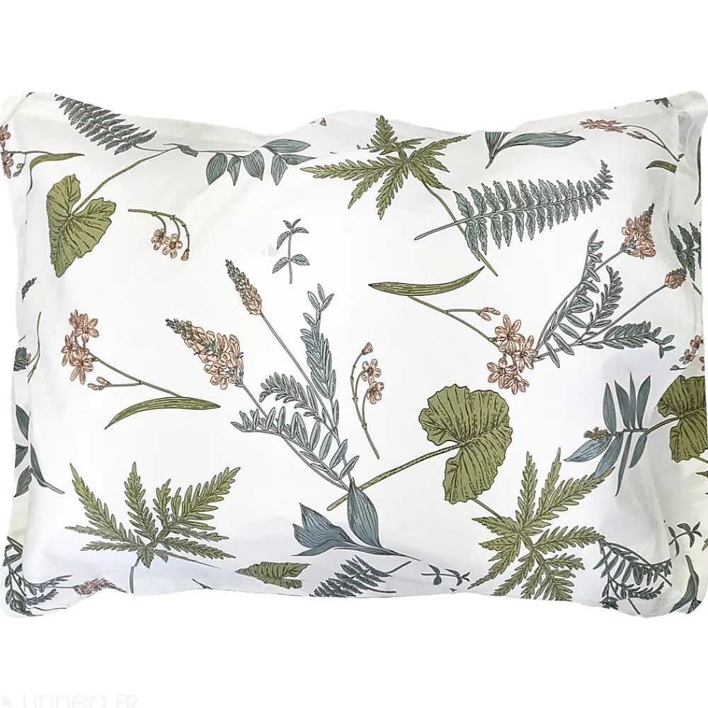 Taie d'oreiller 50x70 cm percale coton FÉÉRIE Blanc sauge>Linnea Discount