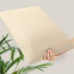 Oreiller en Mousse à Mémoire de Forme 40 x 70 cm, Hauteur 11 cm><noscript><img width=