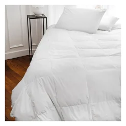 - Oreiller - Plumdor - Confort médium - 65x65cm - Blanc><noscript><img width=