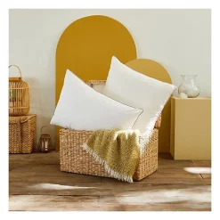 - Oreiller - Trésor - Confort médium - 50x70 cm - Blanc>Toison d'Or
