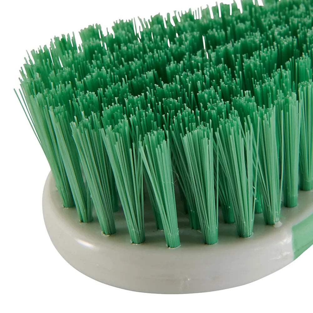 Tête de brosse à récurer poils rigide blanc l.7cm> Outlet