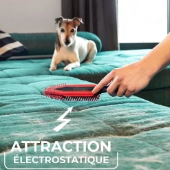 Vileda Pet Pro - Brosse électrostatique* Brosse De Nettoyage